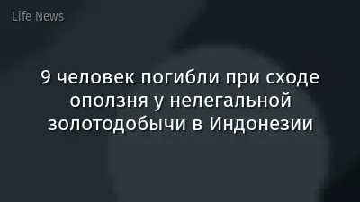 9 человек погибли при сходе оползня у нелегальной золотодобычи в Индонезии