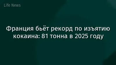 Франция бьёт рекорд по изъятию кокаина: 81 тонна в 2025 году
