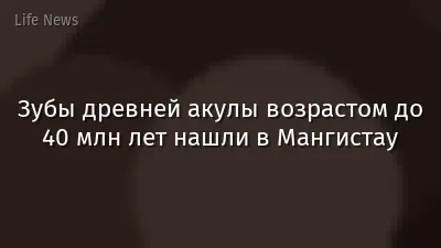 Зубы древней акулы возрастом до 40 млн лет нашли в Мангистау