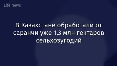 В Казахстане обработали от саранчи уже 1,3 млн гектаров сельхозугодий