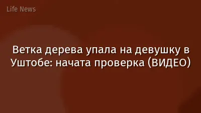 Ветка дерева упала на девушку в Уштобе: начата проверка (ВИДЕО)