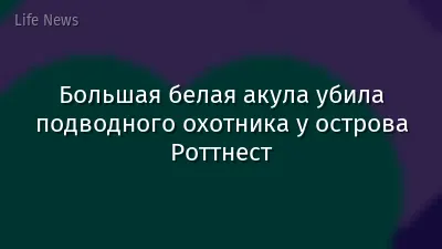 Большая белая акула убила подводного охотника у острова Роттнест