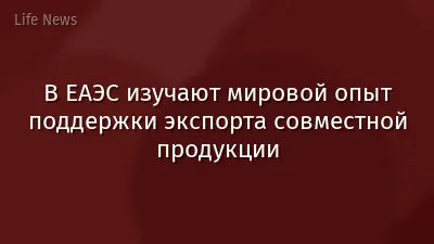 В ЕАЭС изучают мировой опыт поддержки экспорта совместной продукции