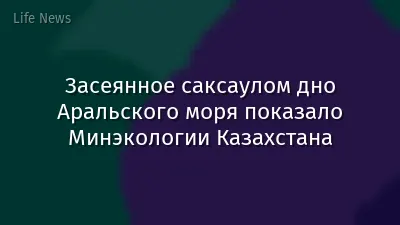 Засеянное саксаулом дно Аральского моря показало Минэкологии Казахстана