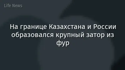 На границе Казахстана и России образовался крупный затор из фур