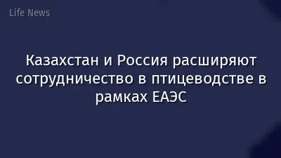 Казахстан и Россия расширяют сотрудничество в птицеводстве в рамках ЕАЭС