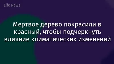 Мертвое дерево покрасили в красный, чтобы подчеркнуть влияние климатических изменений