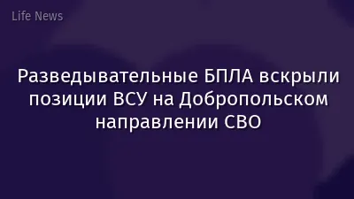 Разведывательные БПЛА вскрыли позиции ВСУ на Добропольском направлении СВО