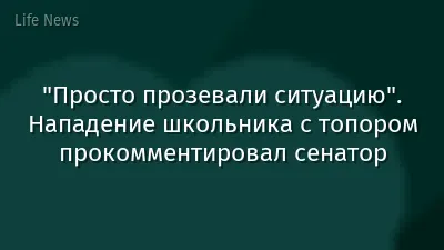 "Просто прозевали ситуацию". Нападение школьника с топором прокомментировал сенатор