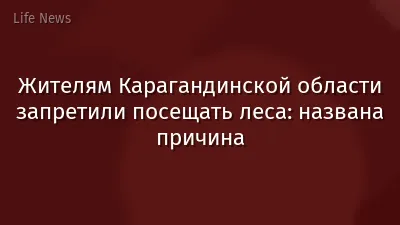 Жителям Карагандинской области запретили посещать леса: названа причина