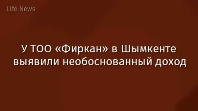 У ТОО «Фиркан» в Шымкенте выявили необоснованный доход