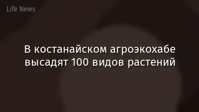 В костанайском агроэкохабе высадят 100 видов растений