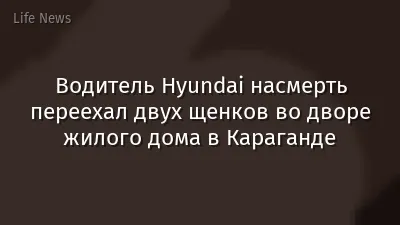 Водитель Hyundai насмерть переехал двух щенков во дворе жилого дома в Караганде