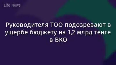 Руководителя ТОО подозревают в ущербе бюджету на 1,2 млрд тенге в ВКО