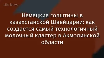 Немецкие голштины в казахстанской Швейцарии: как создается самый технологичный молочный кластер в Акмолинской области