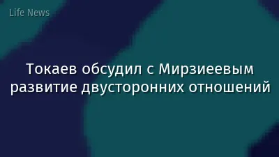 Токаев обсудил с Мирзиеевым развитие двусторонних отношений