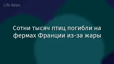 Сотни тысяч птиц погибли на фермах Франции из-за жары