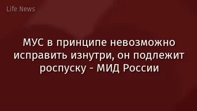 МУС в принципе невозможно исправить изнутри, он подлежит роспуску - МИД России