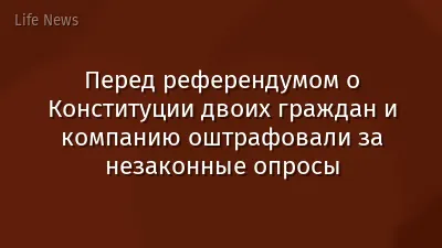 Перед референдумом о Конституции двоих граждан и компанию оштрафовали за незаконные опросы