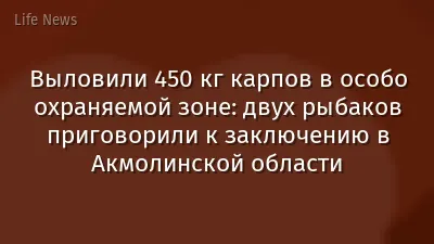 Выловили 450 кг карпов в особо охраняемой зоне: двух рыбаков приговорили к заключению в Акмолинской области