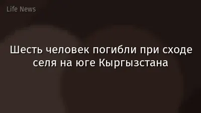 Шесть человек погибли при сходе селя на юге Кыргызстана