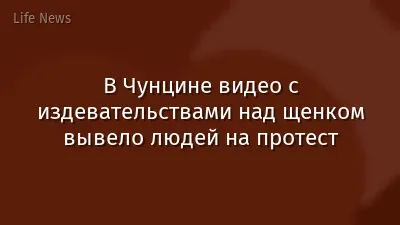 В Чунцине видео с издевательствами над щенком вывело людей на протест