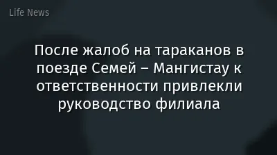 После жалоб на тараканов в поезде Семей – Мангистау к ответственности привлекли руководство филиала
