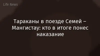 Тараканы в поезде Семей – Мангистау: кто в итоге понес наказание