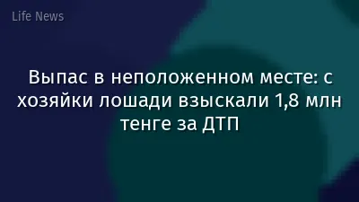 Выпас в неположенном месте: с хозяйки лошади взыскали 1,8 млн тенге за ДТП