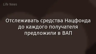 Отслеживать средства Нацфонда до каждого получателя предложили в ВАП