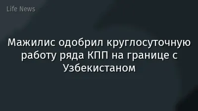 Мажилис одобрил круглосуточную работу ряда КПП на границе с Узбекистаном