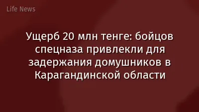 Ущерб 20 млн тенге: бойцов спецназа привлекли для задержания домушников в Карагандинской области