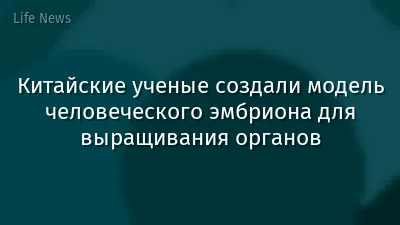 Китайские ученые создали модель человеческого эмбриона для выращивания органов