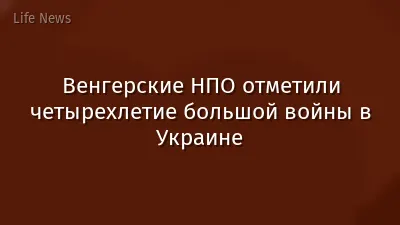 Венгерские НПО отметили четырехлетие большой войны в Украине
