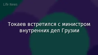 Токаев встретился с министром внутренних дел Грузии
