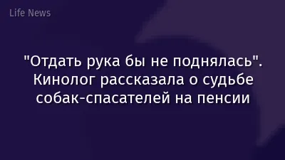 "Отдать рука бы не поднялась". Кинолог рассказала о судьбе собак-спасателей на пенсии
