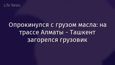 Опрокинулся с грузом масла: на трассе Алматы - Ташкент загорелся грузовик