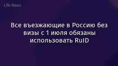 Все въезжающие в Россию без визы с 1 июля обязаны использовать RuID