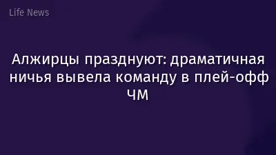 Алжирцы празднуют: драматичная ничья вывела команду в плей-офф ЧМ