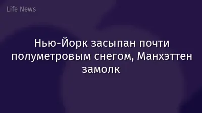 Нью-Йорк засыпан почти полуметровым снегом, Манхэттен замолк