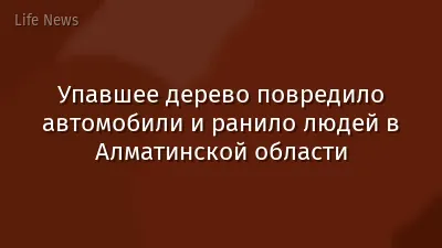 Упавшее дерево повредило автомобили и ранило людей в Алматинской области