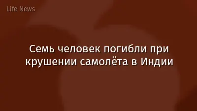 Семь человек погибли при крушении самолёта в Индии
