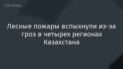 Лесные пожары вспыхнули из-за гроз в четырех регионах Казахстана