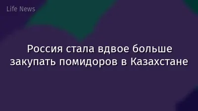 Россия стала вдвое больше закупать помидоров в Казахстане