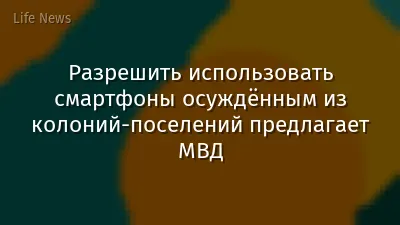Разрешить использовать смартфоны осуждённым из колоний-поселений предлагает МВД