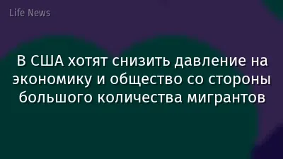 В США хотят снизить давление на экономику и общество со стороны большого количества мигрантов