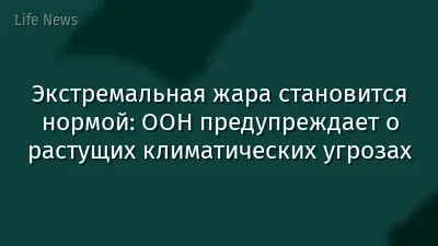 Экстремальная жара становится нормой: ООН предупреждает о растущих климатических угрозах