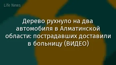 Дерево рухнуло на два автомобиля в Алматинской области: пострадавших доставили в больницу (ВИДЕО)