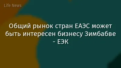 Общий рынок стран ЕАЭС может быть интересен бизнесу Зимбабве - ЕЭК