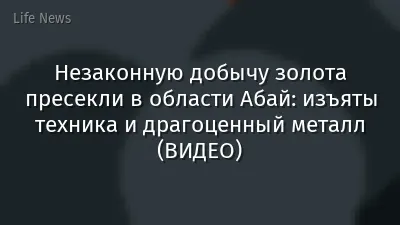 Незаконную добычу золота пресекли в области Абай: изъяты техника и драгоценный металл (ВИДЕО)